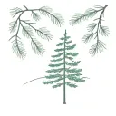 evergreen tree tattoo design idea