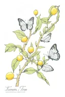 lemon tree branch with butterfly's  tattoo design idea