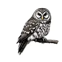 Barred Owl tattoo design idea