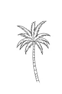 palm tree fine line tattoo design idea