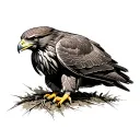 Red Tailed Hawk tattoo design idea