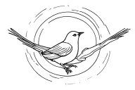  Bird Looking Through perceptive light tattoo design idea