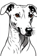 Whippet tattoo design idea