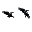 raven looking up with one wing open tattoo design idea