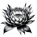 Protea flower on inner bicep tattoo design idea