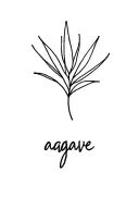 simple line written in cursive "agave" that transitions into a minimalist bouque at the top on my spine tattoo design idea