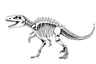 spinosaurus skeleton tattoo design idea