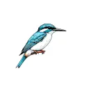 White-collared kingfisher perched tattoo design idea