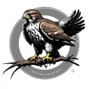 Red Tailed Hawk tattoo design idea