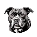 pit bull in American traditional style tattoo tattoo design idea