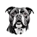 pit bull in American traditional style tattoo tattoo design idea