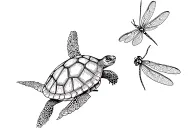 turtle and dragonfly hovering tattoo design idea