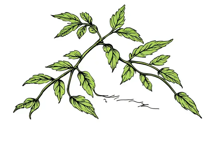 fineline potato plant tall and narrow tattoo design idea