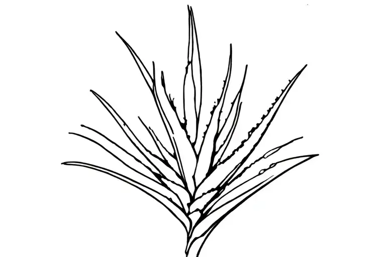 Aloe vera plant tattoo design idea