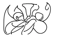 Miata tattoo design idea