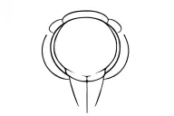 Miata tattoo design idea