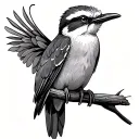 kookaburra tattoo design idea