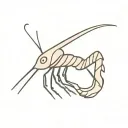 Caradina shrimp in wood cut style tattoo design idea