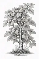 fig tree tattoo design idea