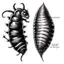 "From screaming loud to yelling soft, I ain’t wiser, I’ve just grown” Caterpillar top left cocoon top right bottom btrfl tattoo design idea