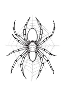 a spider in a web design tattoo design idea