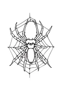 a spider in a web design tattoo design idea