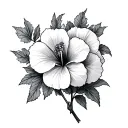 Sweet William tattoo design idea