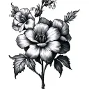 Sweet William tattoo design idea