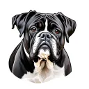 Boxer Dog tattoo design idea