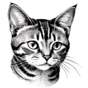 grey tabby cat affectionate  tattoo design idea