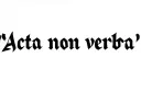 "Acta non verba" tattoo design idea