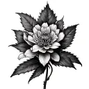 Hyssop tattoo design idea