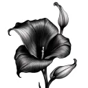 Calla Lilies tattoo design idea