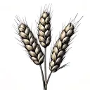 Wheat tattoo design idea
