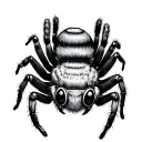 jumping spider cute tattoo design idea