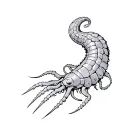 flexible internal shell, segmented soft bodies, siphons, joint appendages, tentacles,camouflage, and claws for fighting tattoo design idea