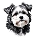 Bichon tattoo design idea