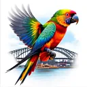 Rainbow lorikeet in flight with Sydney opera house and harbour bridge tattoo design idea