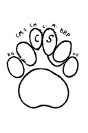 pawprint with letters C M L S B L P G, Shape of S incorporated tattoo design idea