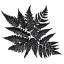 all black fern tattoo design idea