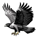 Hawk flying with open wings seen from the ground. tattoo design idea