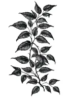 The willow vine in the style of engravings, the leaves of the branch reach the end of the hand, the tattoo should be narrow and long tattoo design idea