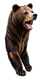 Chicago bear head tattoo design idea