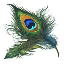 peacock feather tattoo design idea