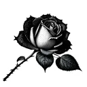 x ray of a rose stem growing minimal thin  tattoo design idea