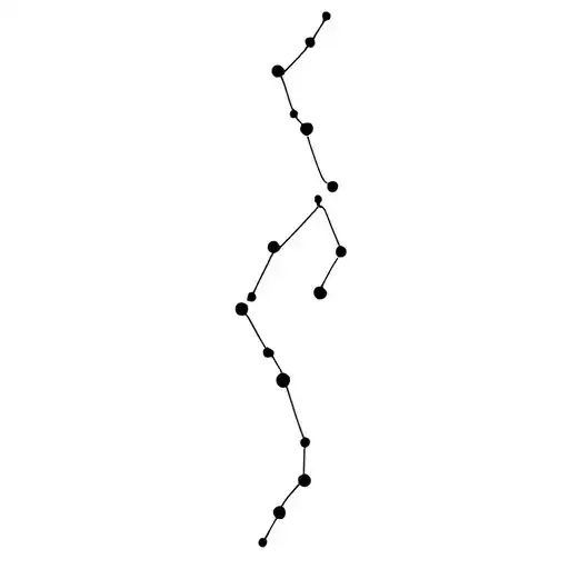 Pisces and Scorpio constellation made tattoo design idea