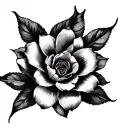 Celine tattoo design idea