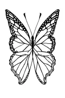 Initials T.N.T 2010-2025 monarch butterfly  tattoo design idea
