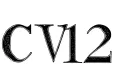 "CV12" tattoo design idea