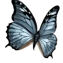 Morpho tattoo design idea